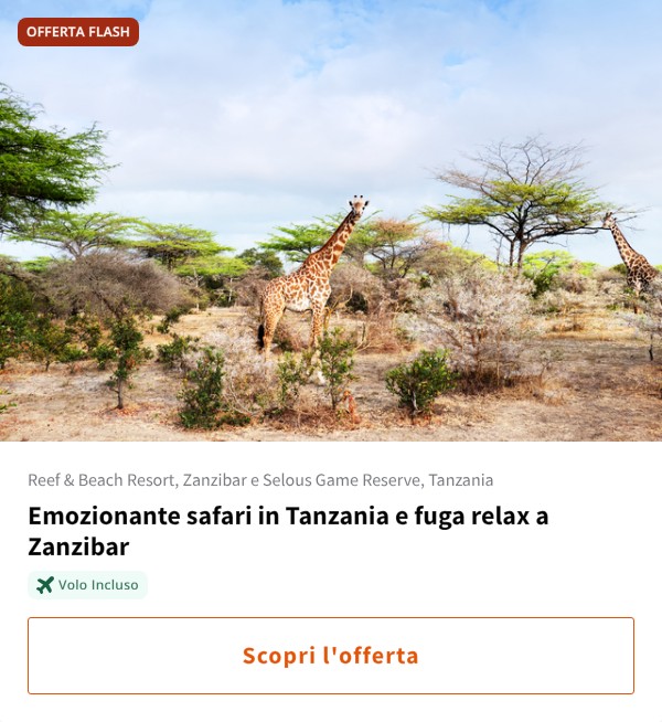 Emozionante safari in Tanzania e fuga relax a Zanzibar