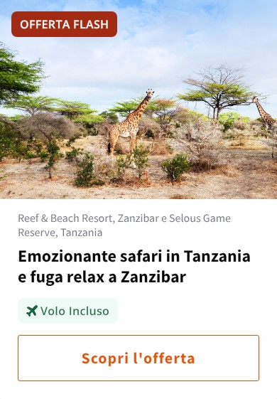 Emozionante safari in Tanzania e fuga relax a Zanzibar