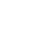 Consegna in tutta Europa
