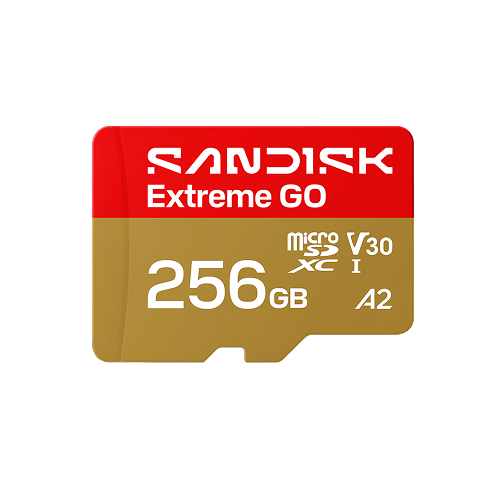 Scheda SANDISK Extreme® GO microSD™ UHS-I