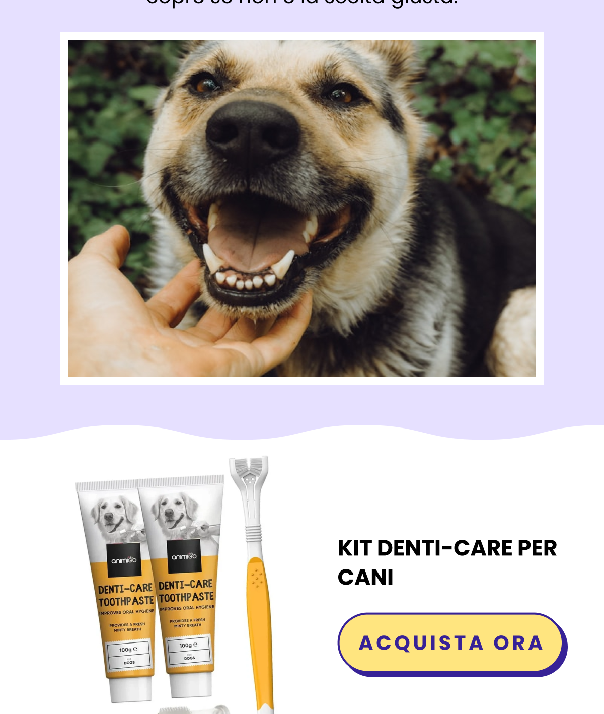 L'alito diventa sgradevole e impari a conviverci. Intanto il tartaro continua ad accumularsi, le gengive si infiammano e mangiare diventa fastidioso, molto prima che il tuo animale lo mostri. Due minuti al giorno sono la versione più economica di questo problema. Il nostro Denti-Care Kit lo rende semplice, e la garanzia ti copre se non è la scelta giusta.