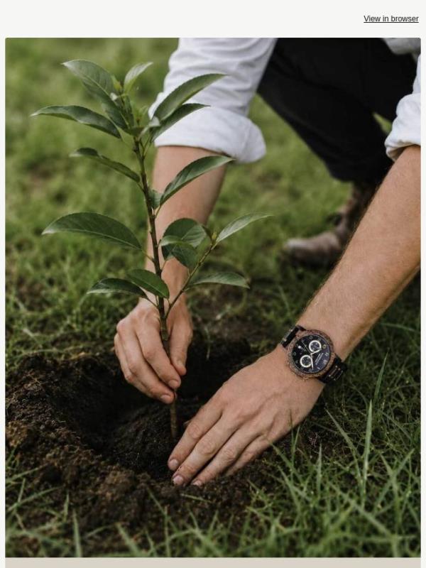 We’ve filled 730+ football pitches with trees 🌳