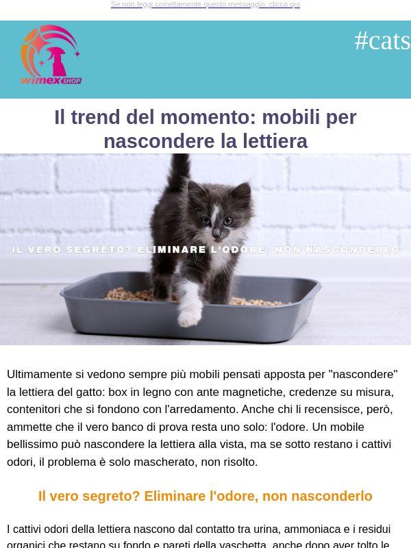 🐾 Lettiera del gatto: nascondila alla vista, ma l'odore va eliminato davvero