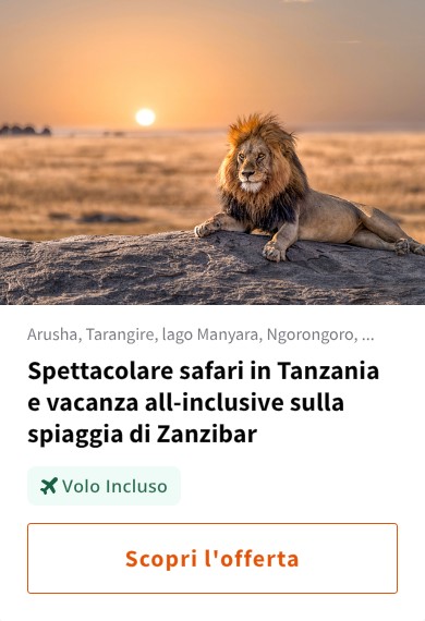 Spettacolare safari in Tanzania e vacanza all-inclusive sulla spiaggia di Zanzibar
