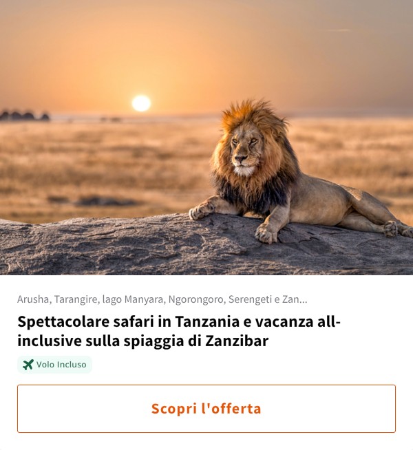 Spettacolare safari in Tanzania e vacanza all-inclusive sulla spiaggia di Zanzibar