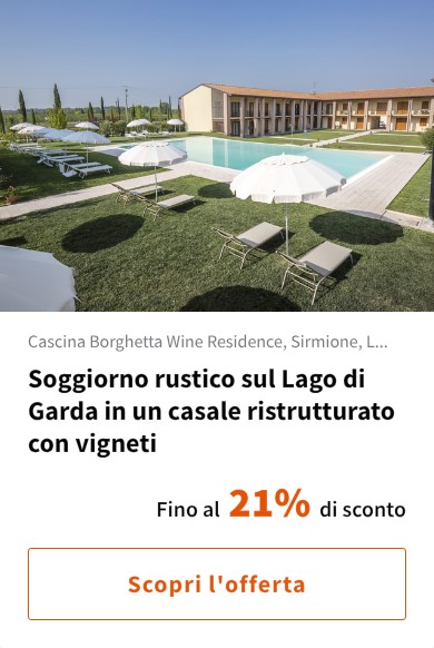 Soggiorno rustico sul Lago di Garda in un casale ristrutturato con vigneti