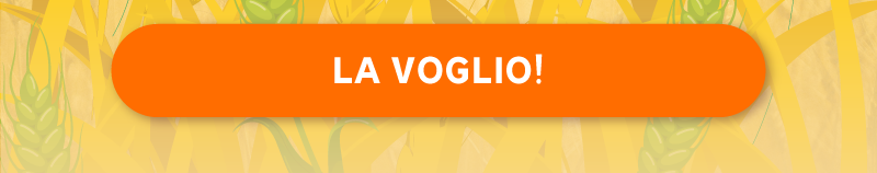 Legami Milano