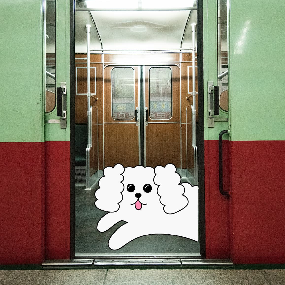Giornata internazionale del cane