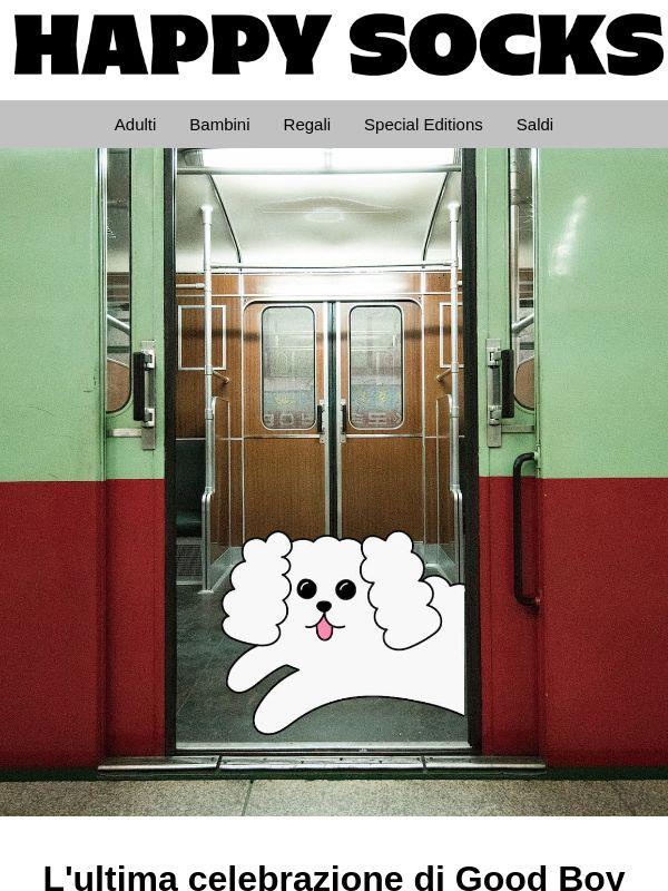 Paws vs. Claws: la Giornata internazionale del cane si avvicina! 🦴