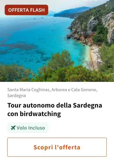 Tour autonomo della Sardegna con birdwatching