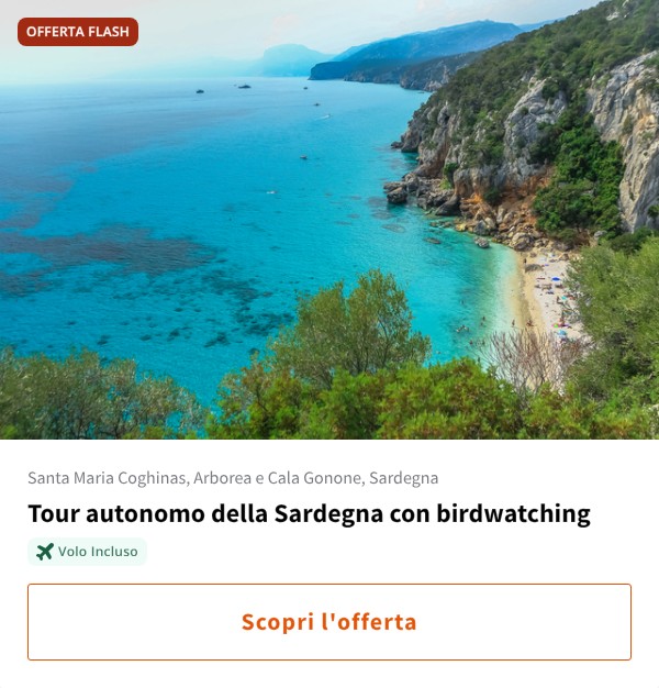 Tour autonomo della Sardegna con birdwatching
