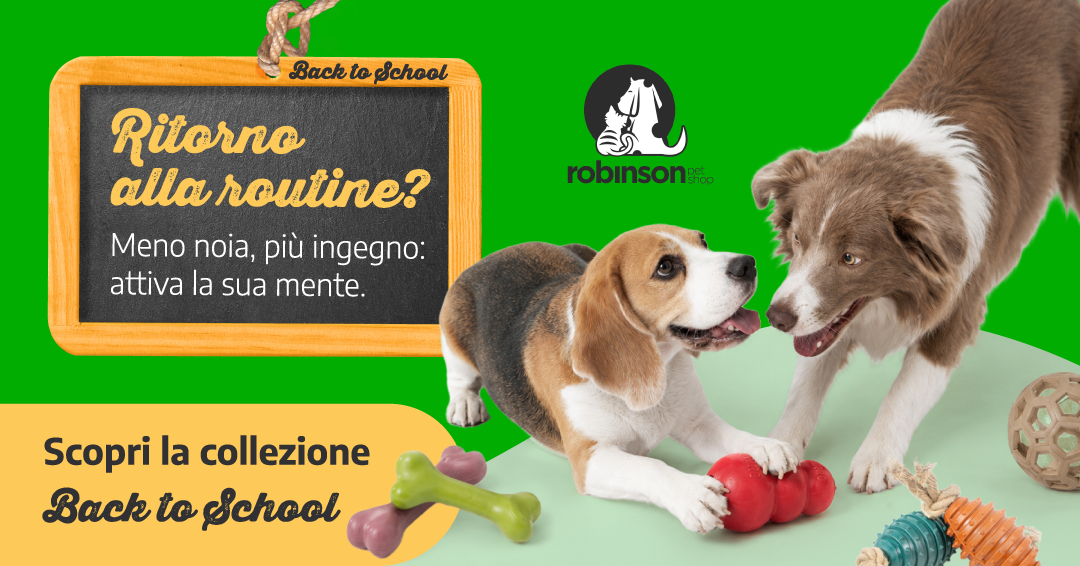 Two playful dogs with chew toys beside a 'Back to School' chalkboard promoting Robinson pet shop toy collection