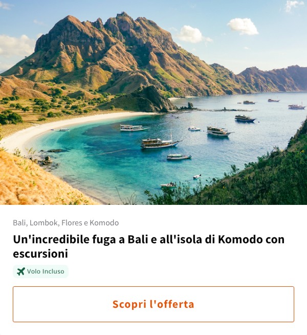 Un'incredibile fuga a Bali e all'isola di Komodo con escursioni