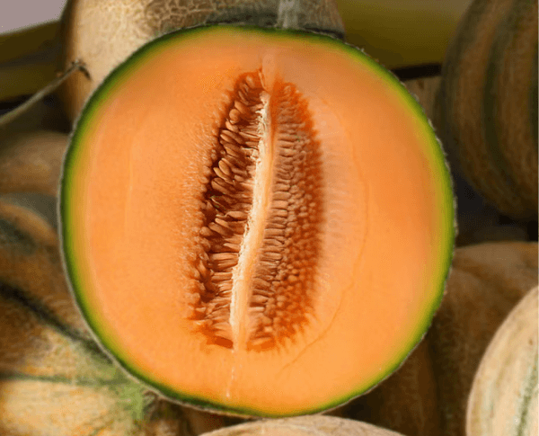 Holimel® - estratto di melone 