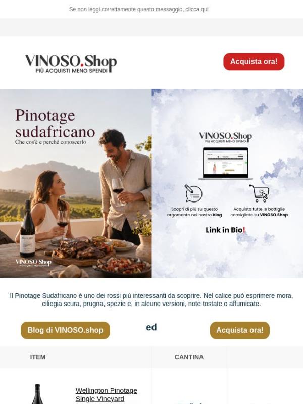 🌍 VINOSO | Il Pinotage Sudafricano è uno dei rossi più interessanti da scoprire