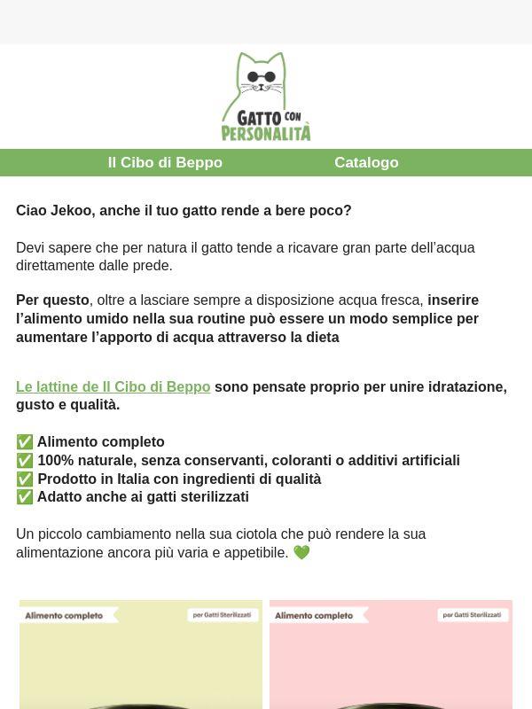 Il tuo gatto beve poco? Prova questo