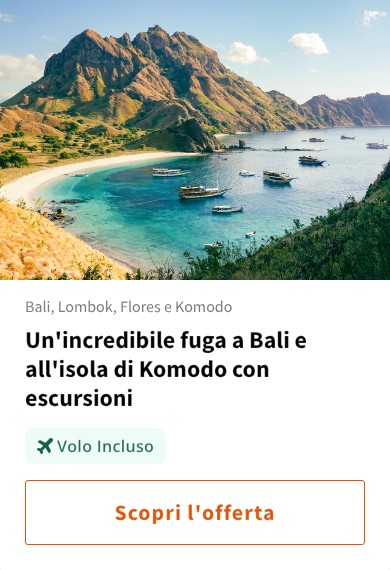 Un'incredibile fuga a Bali e all'isola di Komodo con escursioni