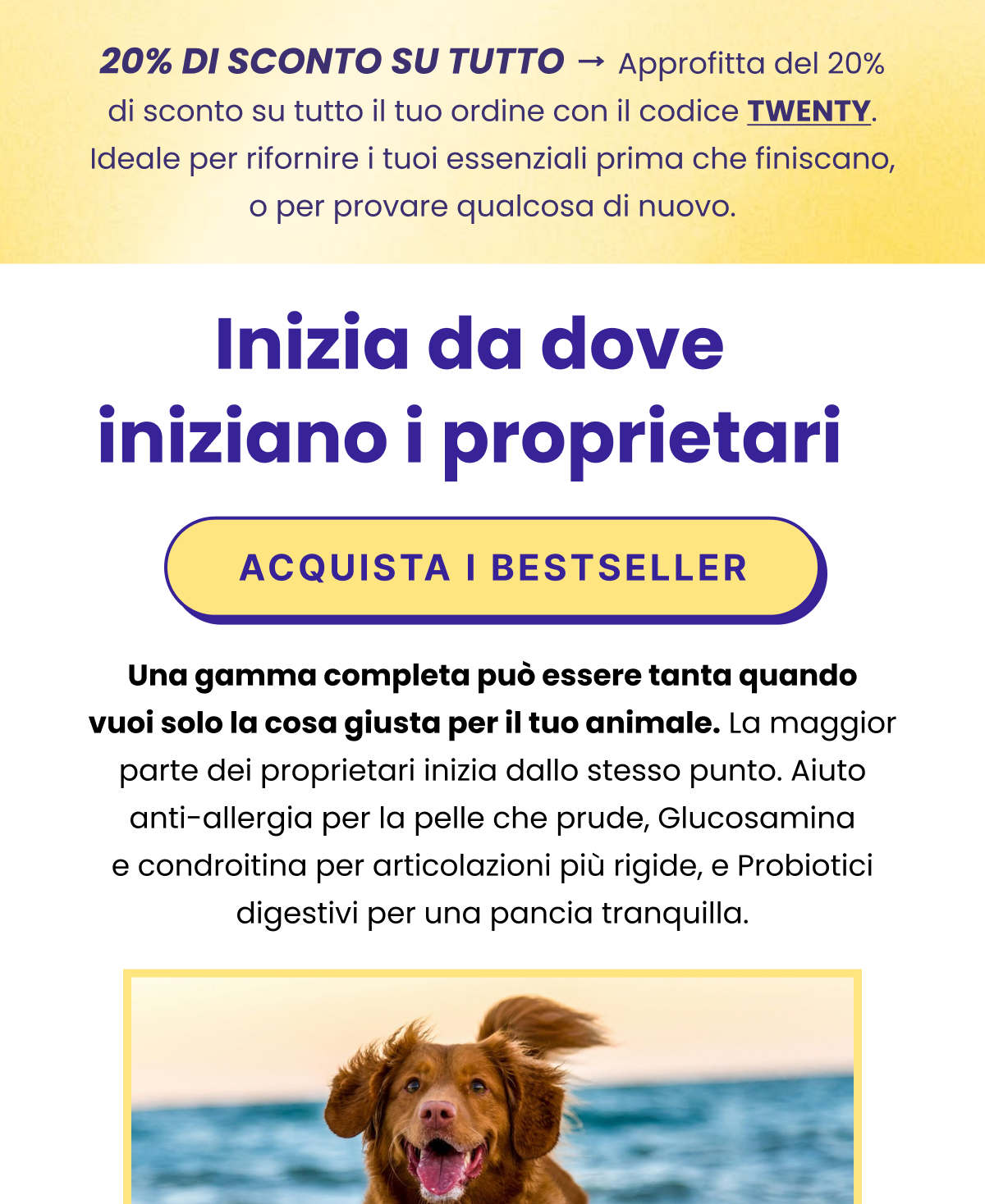 Questa settimana 20% di sconto su tutto.