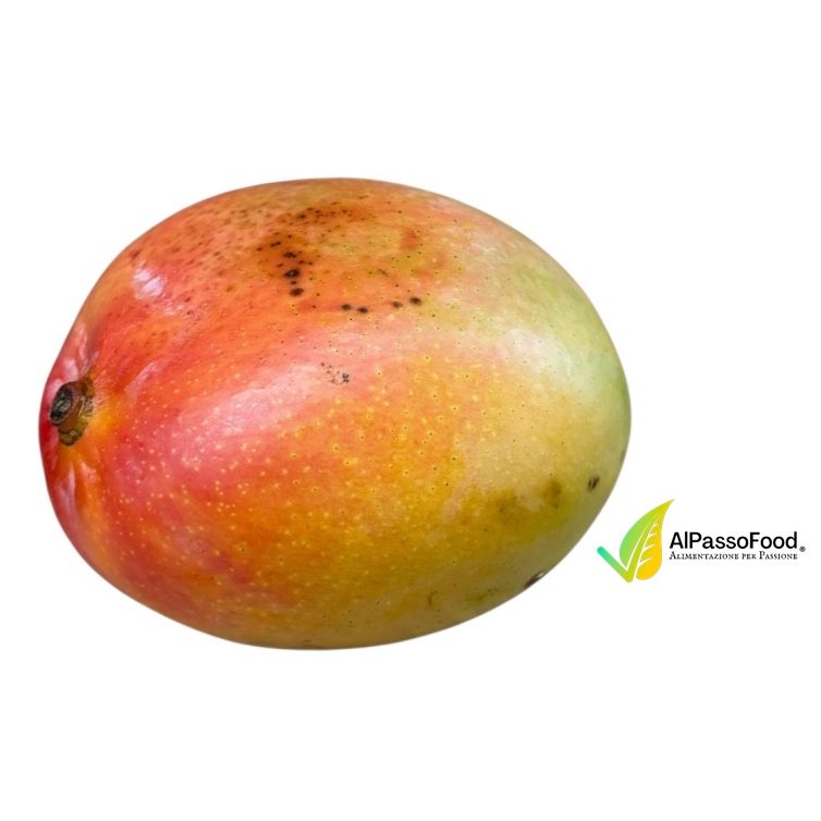 Mango Siciliano — 450/500g, 1 pezzo