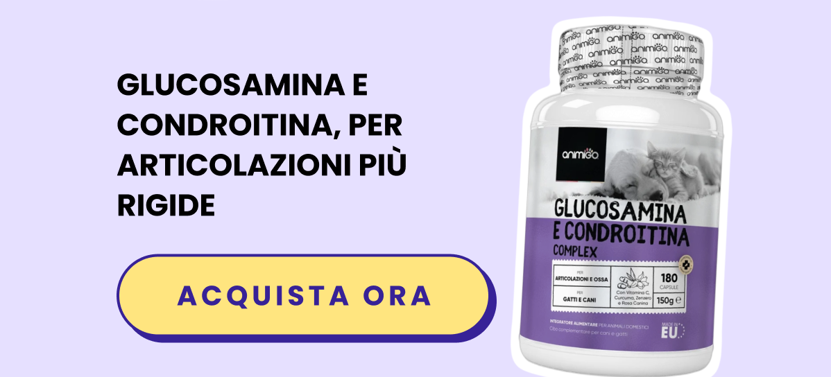 Glucosamina e condroitina, per articolazioni più rigide