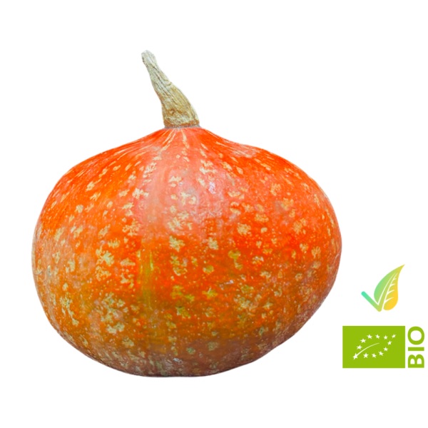 Zucca Hokkaido biologica
