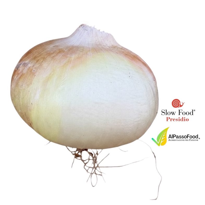 Cipolla di Giarratana Slow Food 800g