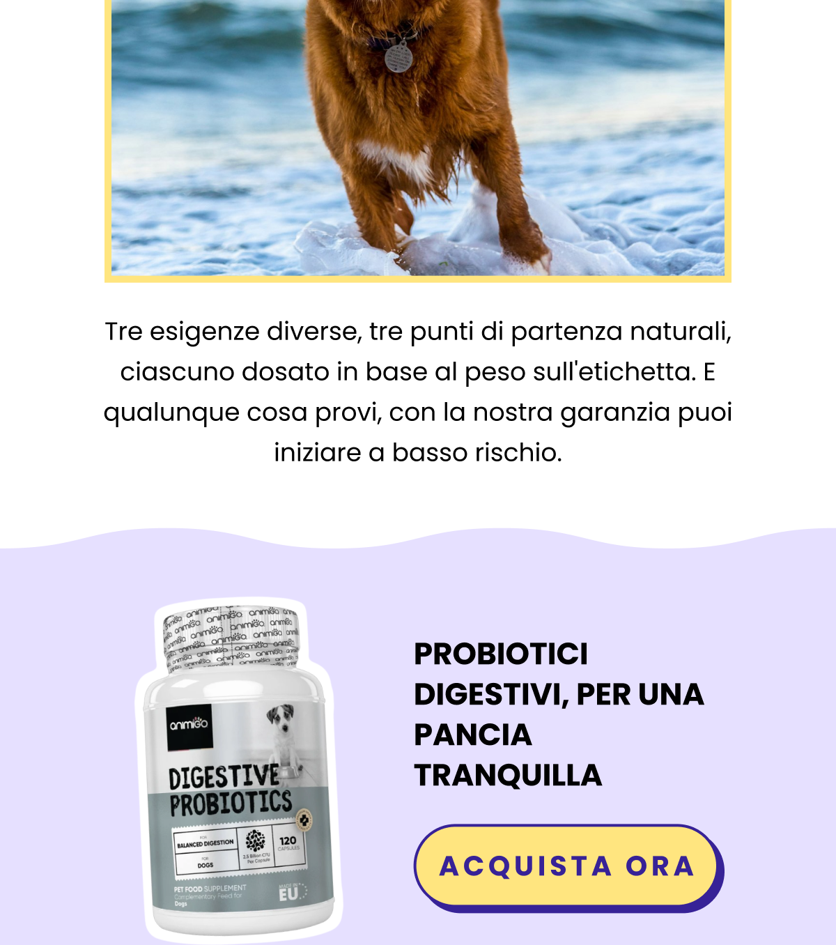 Probiotici digestivi, per una pancia tranquilla