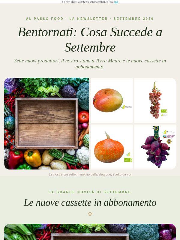 Bentornati! 7 nuovi produttori e le nuove cassette 🧺