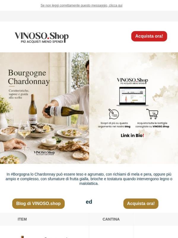 🍾 VINOSO | Bourgogne Chardonnay: acquistare la bottiglia giusta per portare a tavola
