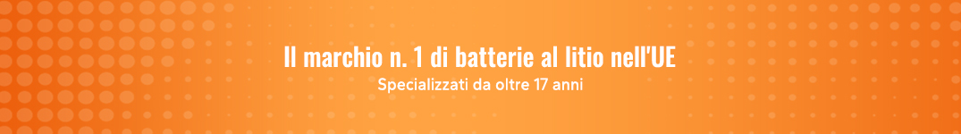 LiTime – 17 anni di esperienza, consegna rapida, assistenza 24/7 e garanzia fino a 5 anni