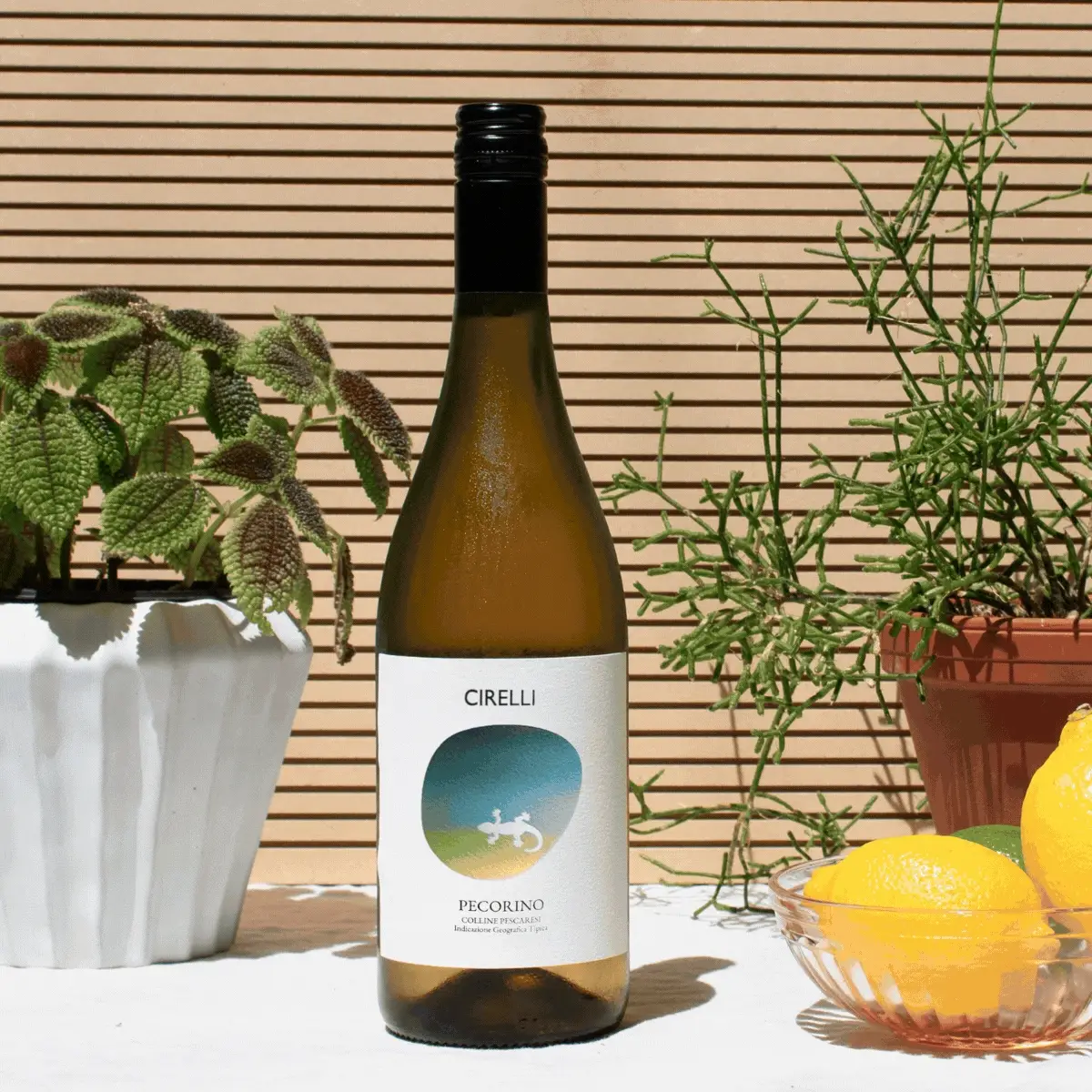 Cantina cirelli - vini biologici d'abruzzo