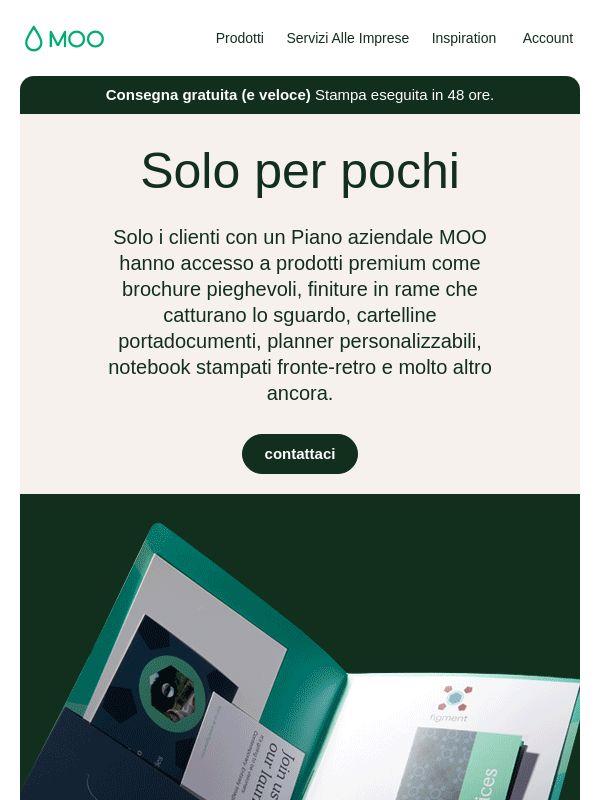 👀 Metti le mani su qualcosa di speciale
