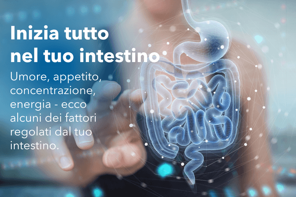 Inizia tutto nel tuo intestino