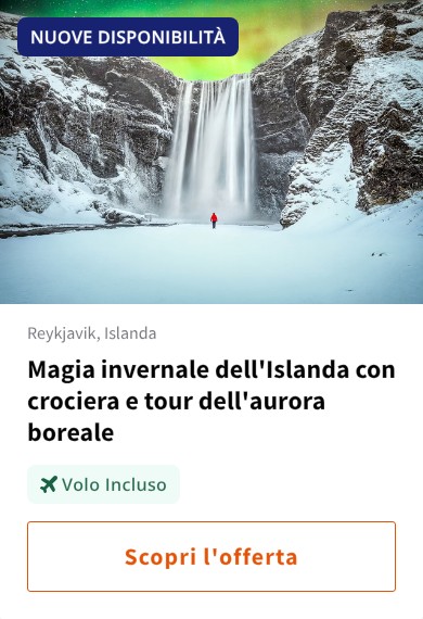 Magia invernale dell'Islanda con crociera e tour dell'aurora boreale