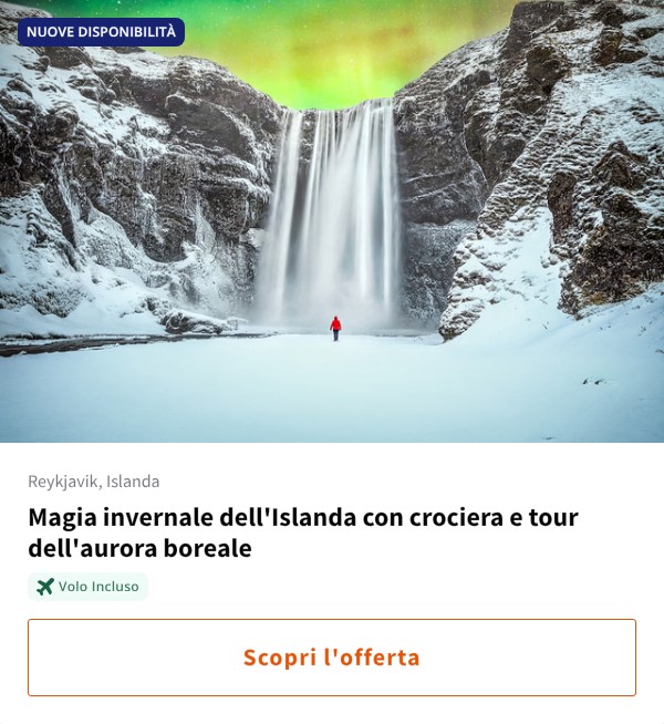 Magia invernale dell'Islanda con crociera e tour dell'aurora boreale