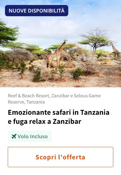 Emozionante safari in Tanzania e fuga relax a Zanzibar