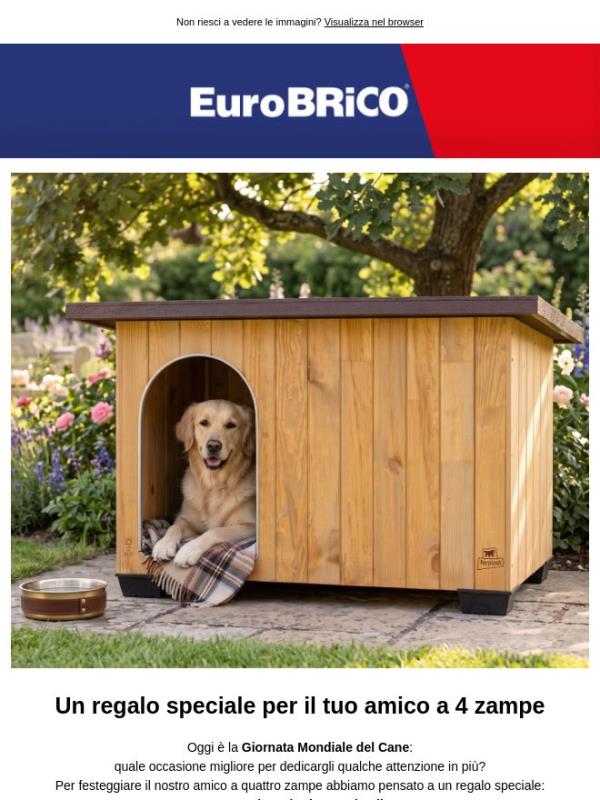 Giornata Mondiale del Cane: sconto del 5%!