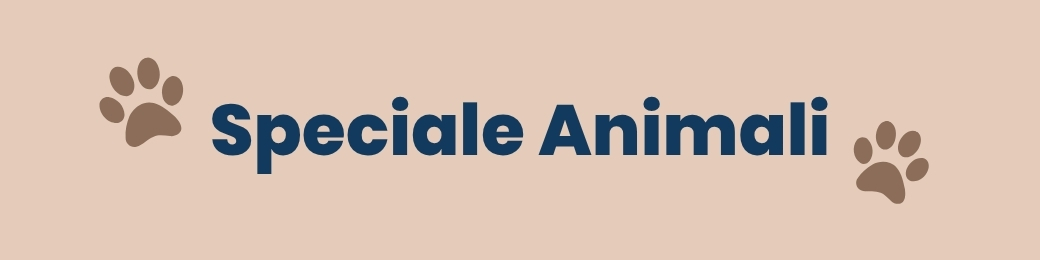 Banner with text 'Speciale Animali' in bold navy font and brown paw prints on a pale beige background