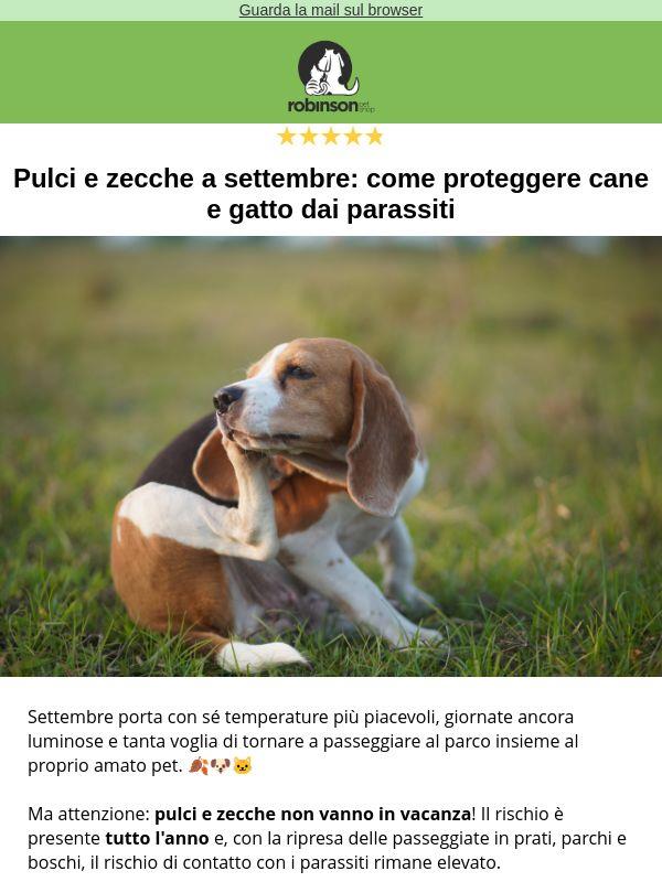 🐾 Pulci e zecche a settembre: non abbassare la guardia!