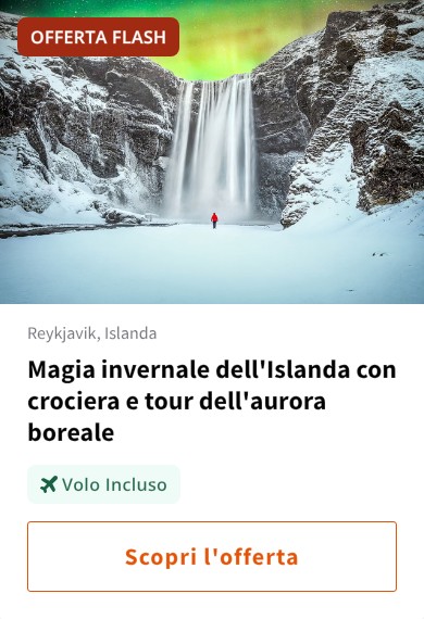Magia invernale dell'Islanda con crociera e tour dell'aurora boreale