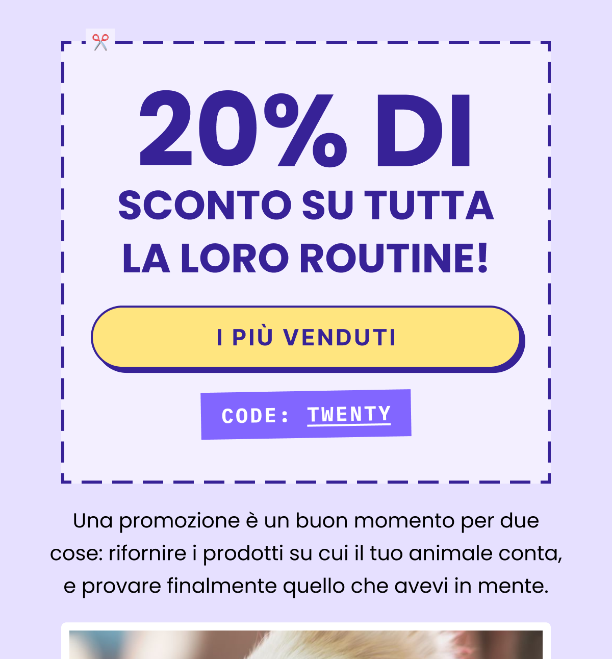 Una promozione è un buon momento per due cose: rifornire i prodotti su cui il tuo animale conta, e provare finalmente quello che avevi in mente.
