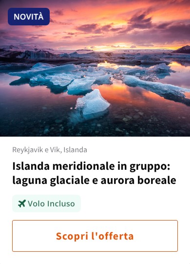 Islanda meridionale in gruppo: laguna glaciale e aurora boreale