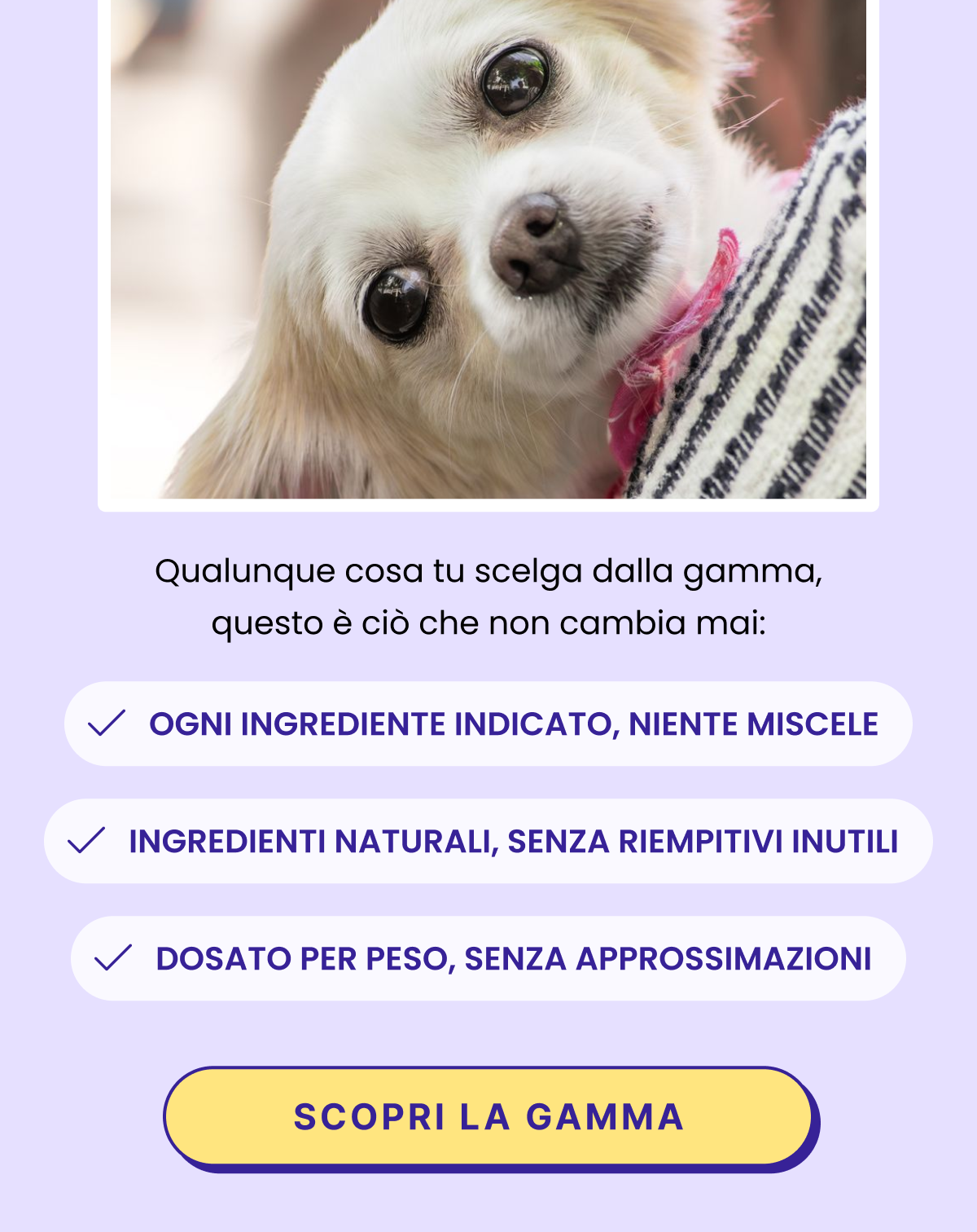 Approfitta del 20% di sconto su tutto il tuo ordine con il codice TWENTY, su tutto il sito, fino al 31 agosto. Qualunque cosa tu scelga dalla gamma, questo è ciò che non cambia mai: