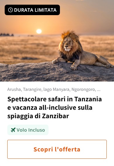 Spettacolare safari in Tanzania e vacanza all-inclusive sulla spiaggia di Zanzibar