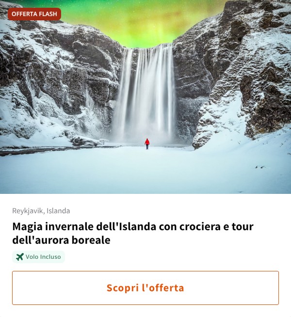 Magia invernale dell'Islanda con crociera e tour dell'aurora boreale