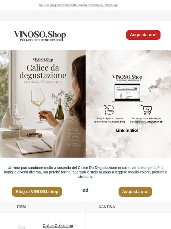 🍷 VINOSO | Calice da degustazione: guida ai migliori modelli