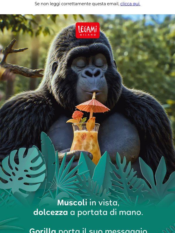 Wild, Kind e decisamente Super Soft! 🦍
