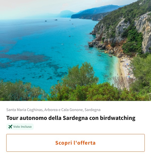Tour autonomo della Sardegna con birdwatching