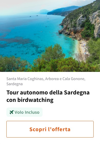 Tour autonomo della Sardegna con birdwatching