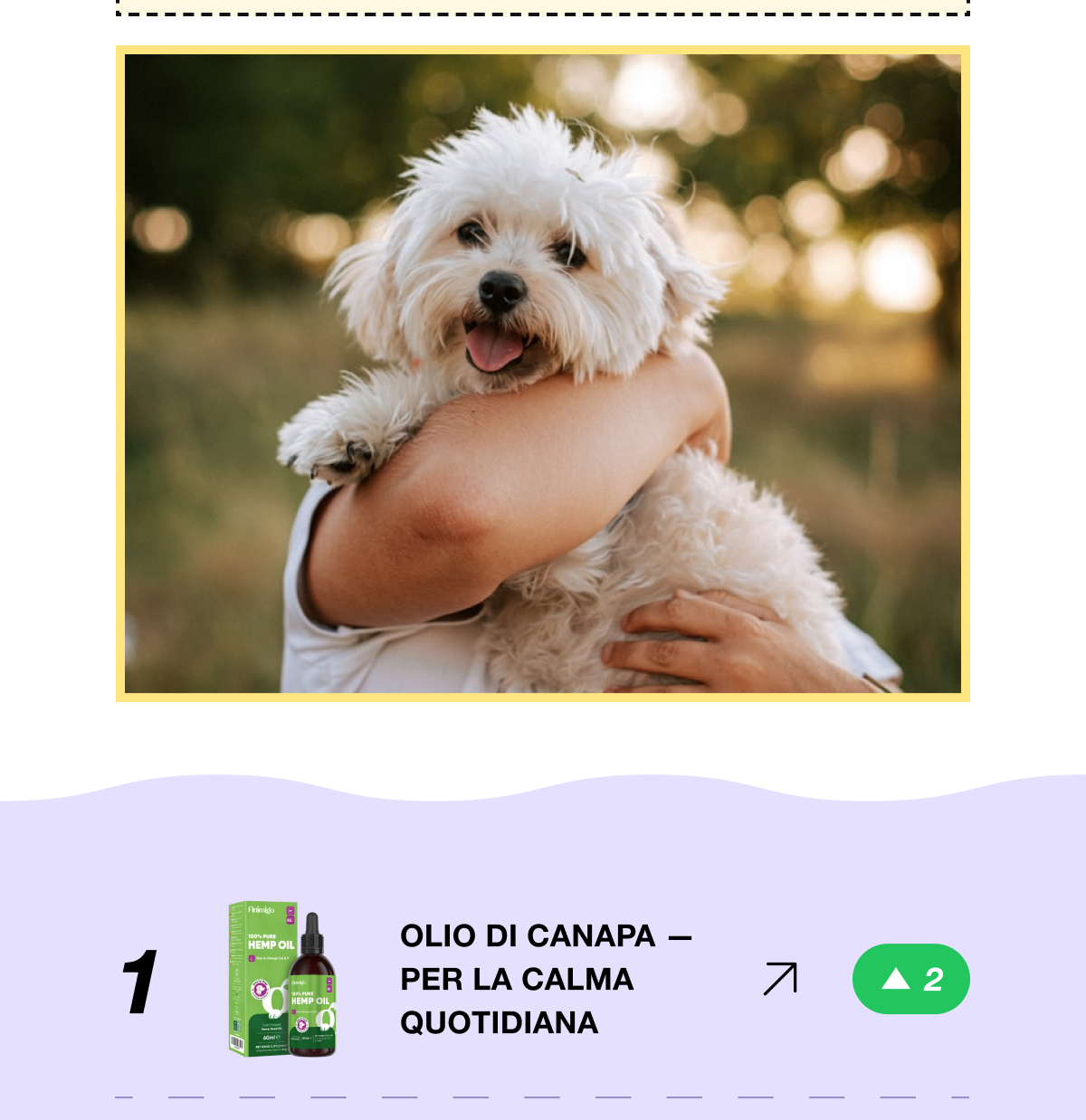 Questo è un buon momento per rifornire tutto in una volta. Questi sono quelli che la maggior parte delle famiglie riordina di più. Approfitta del 20% di sconto con il codice TWENTY. L'offerta termina il 31 agosto.
